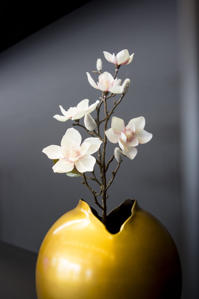 Nahaufnahme Kirschblütenzweig in goldener Vase
